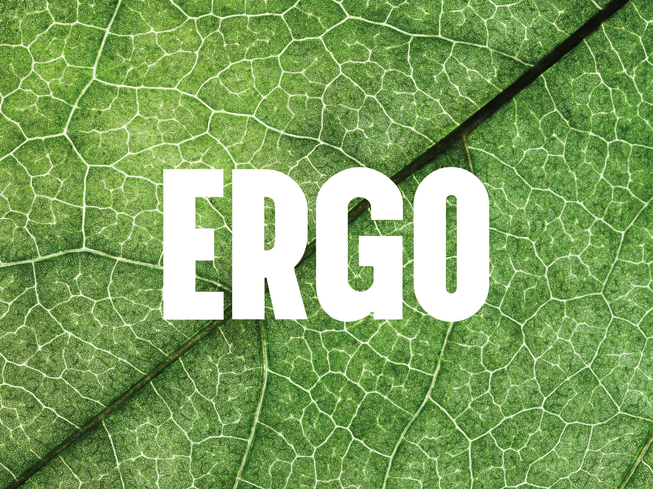 Ergo Foods's cover image