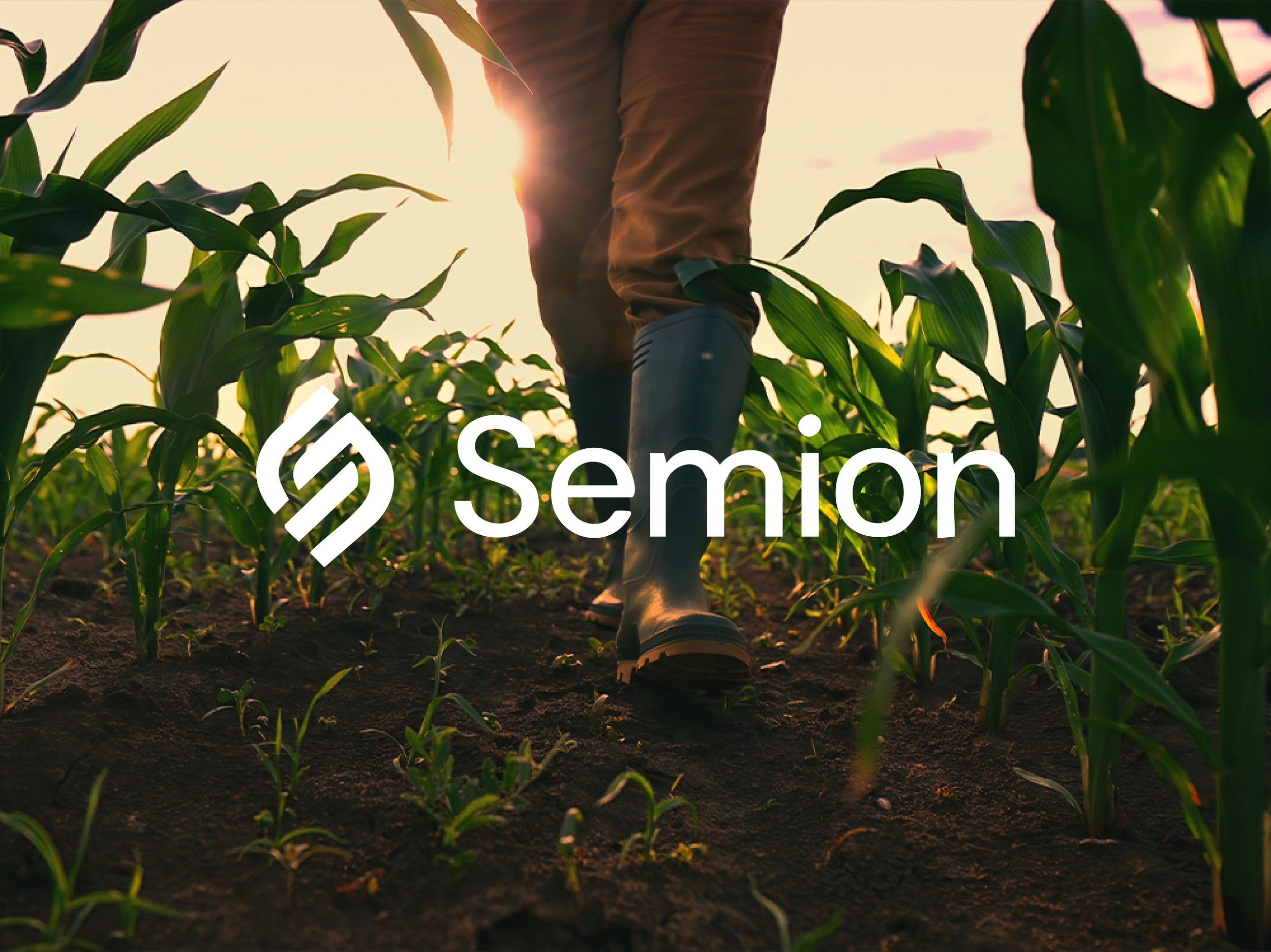 Semion Bio's cover image