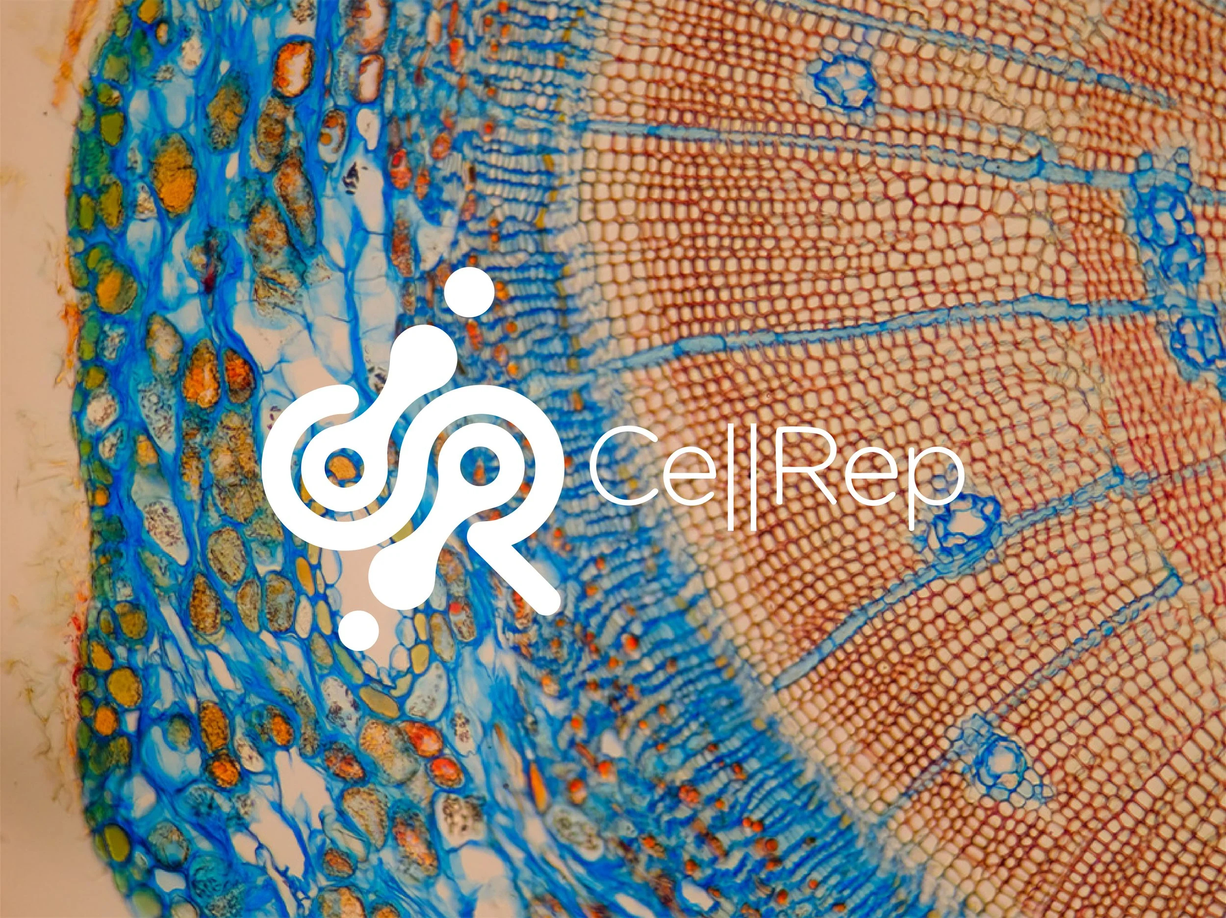 CellRep's cover image