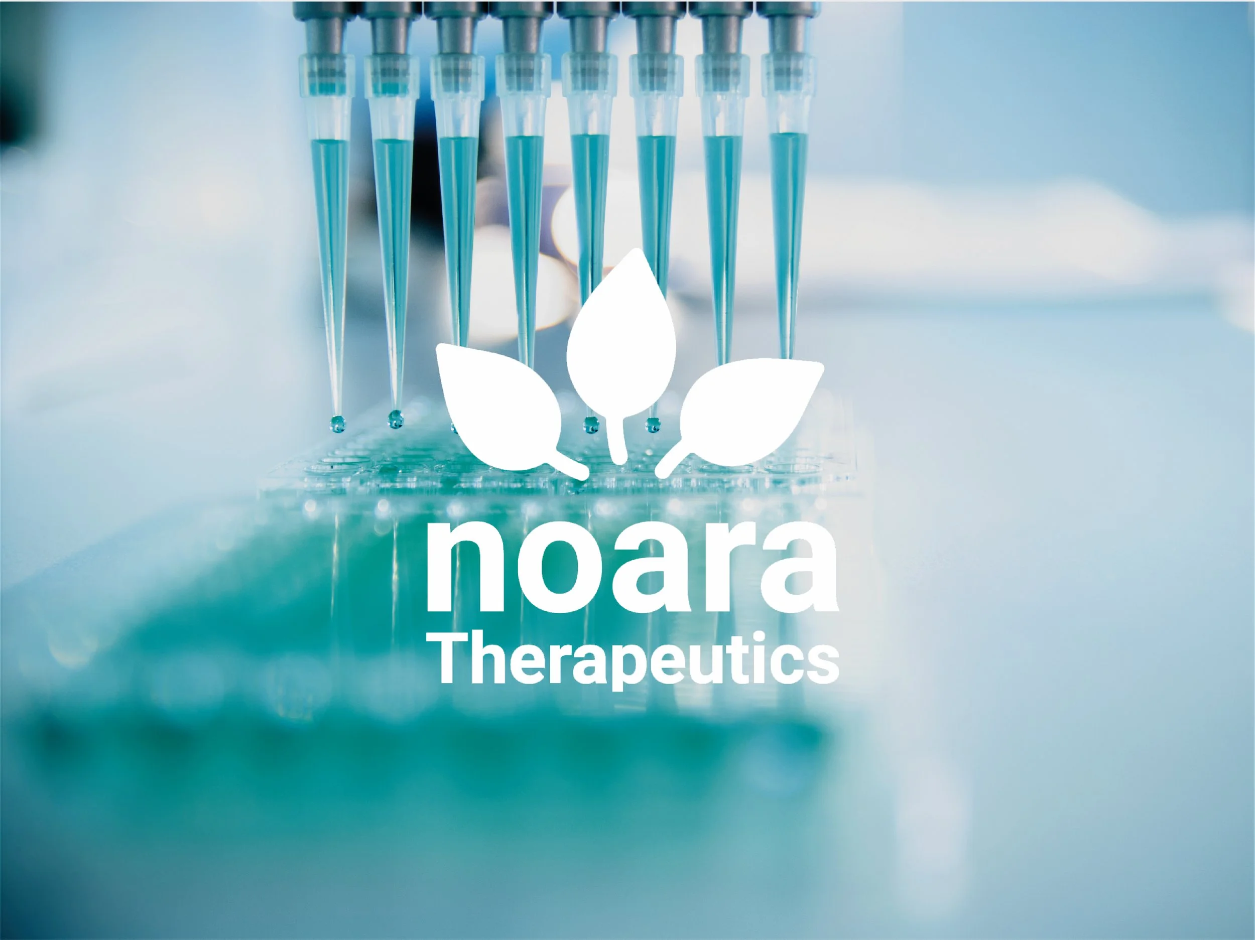Noara's cover image