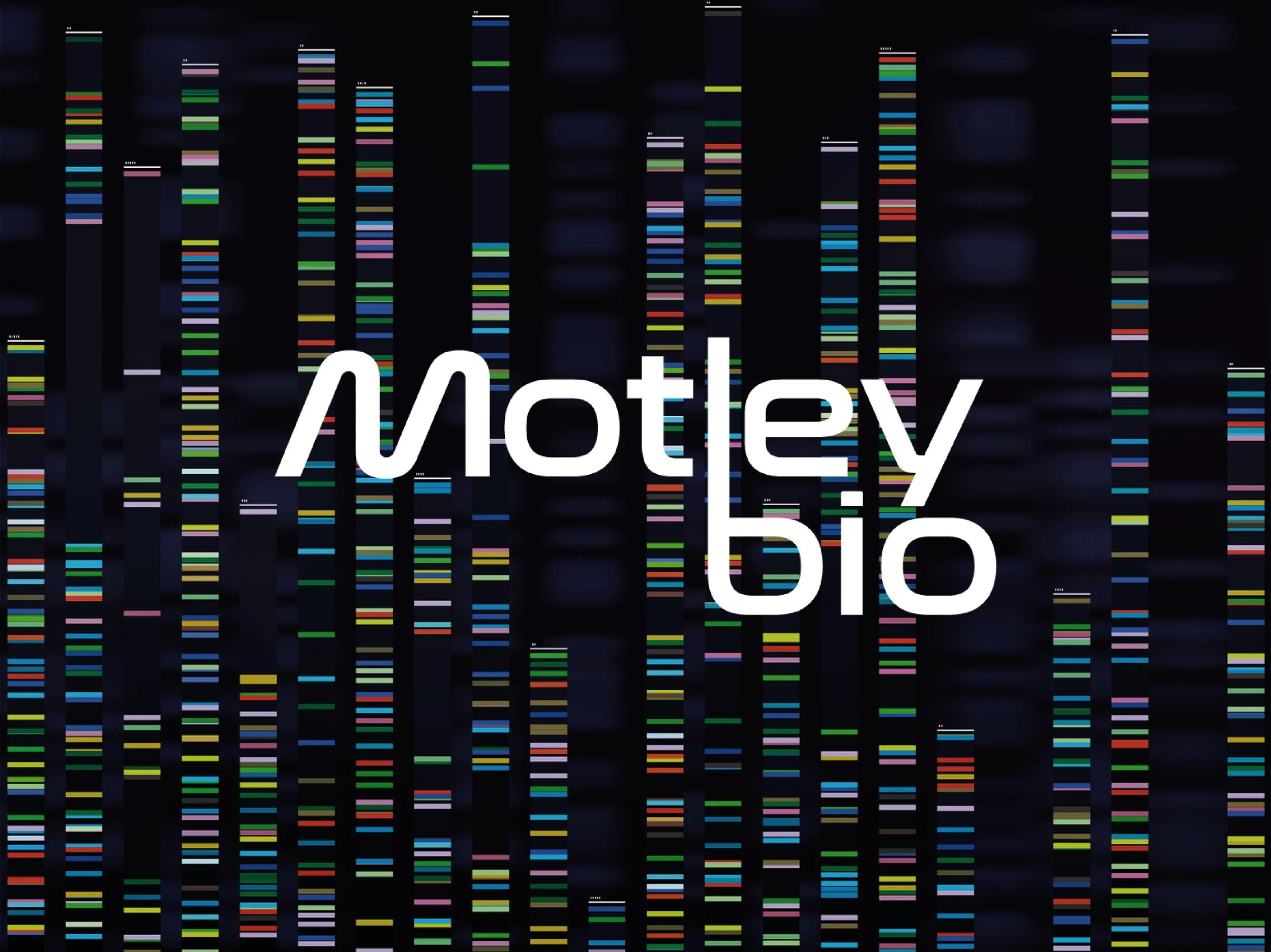 Motley's cover image