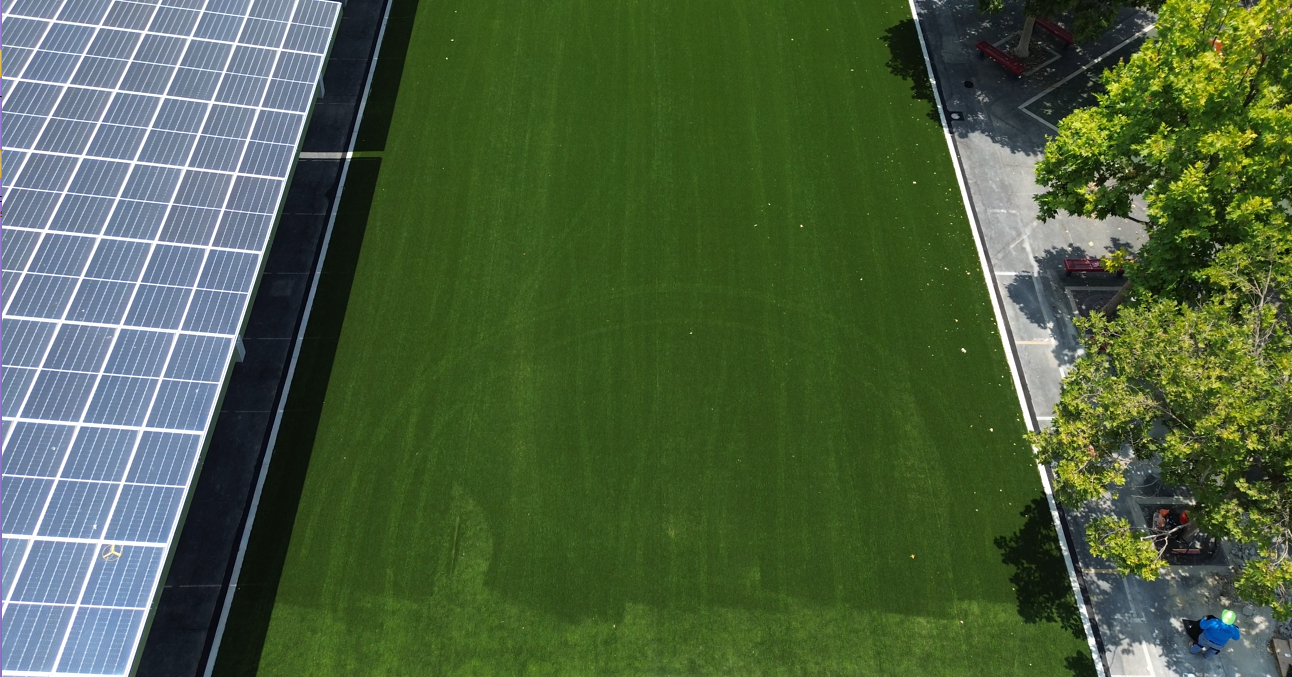 Turf 1.png