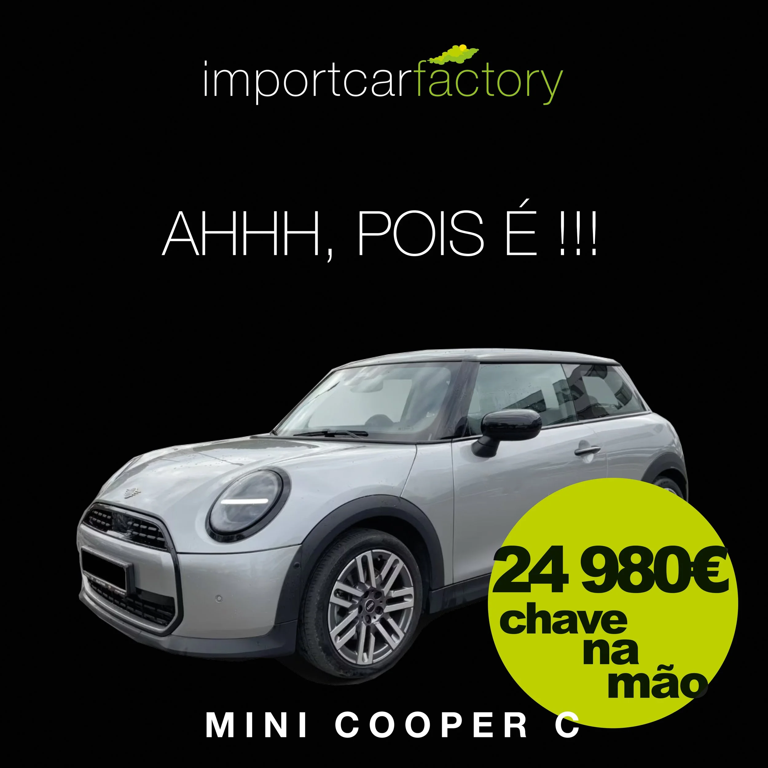 mini 1.jpg