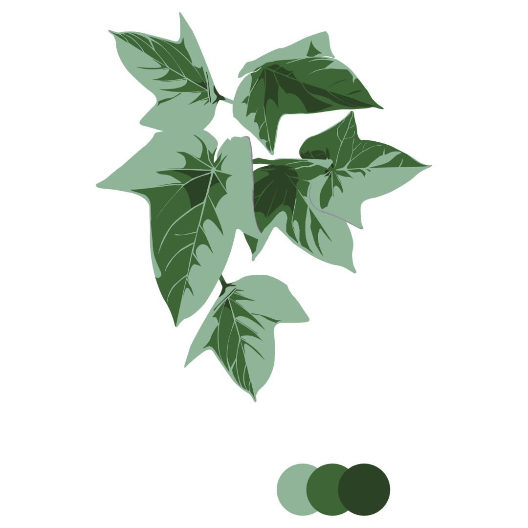Cultural Roots brand.png
