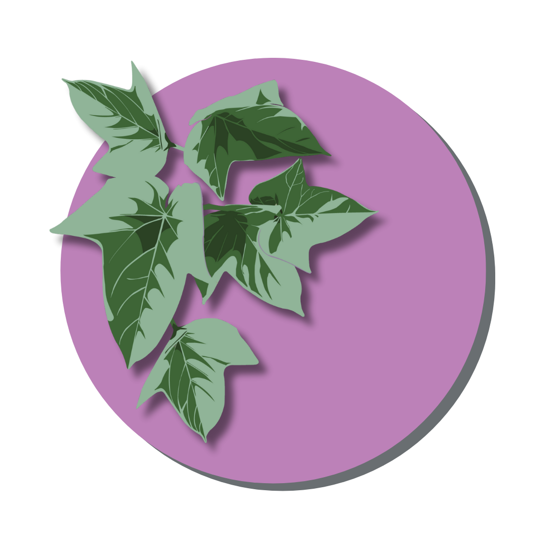 Cultural Roots Icon.png