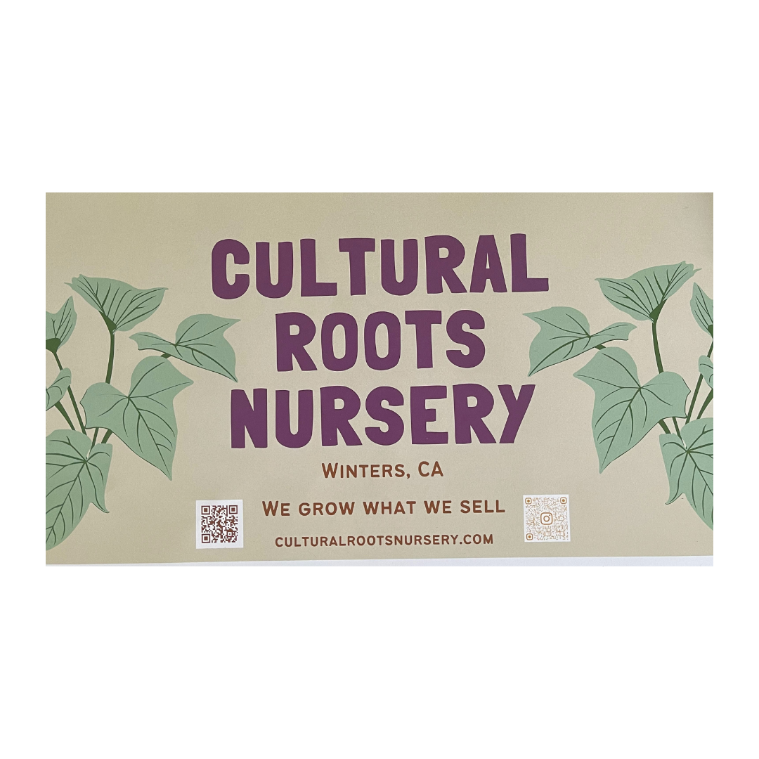 Cultural Roots BAnner.png