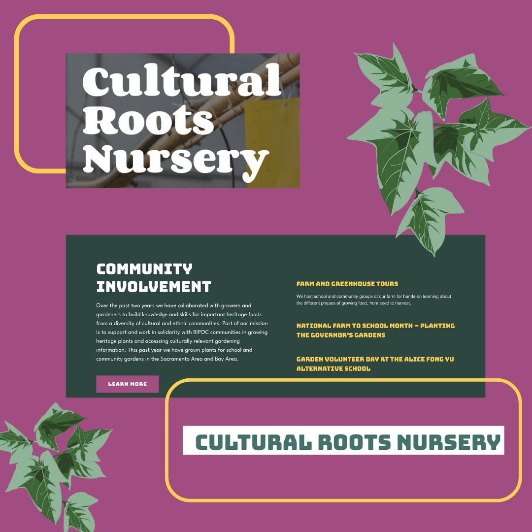 Cultural Roots website.png
