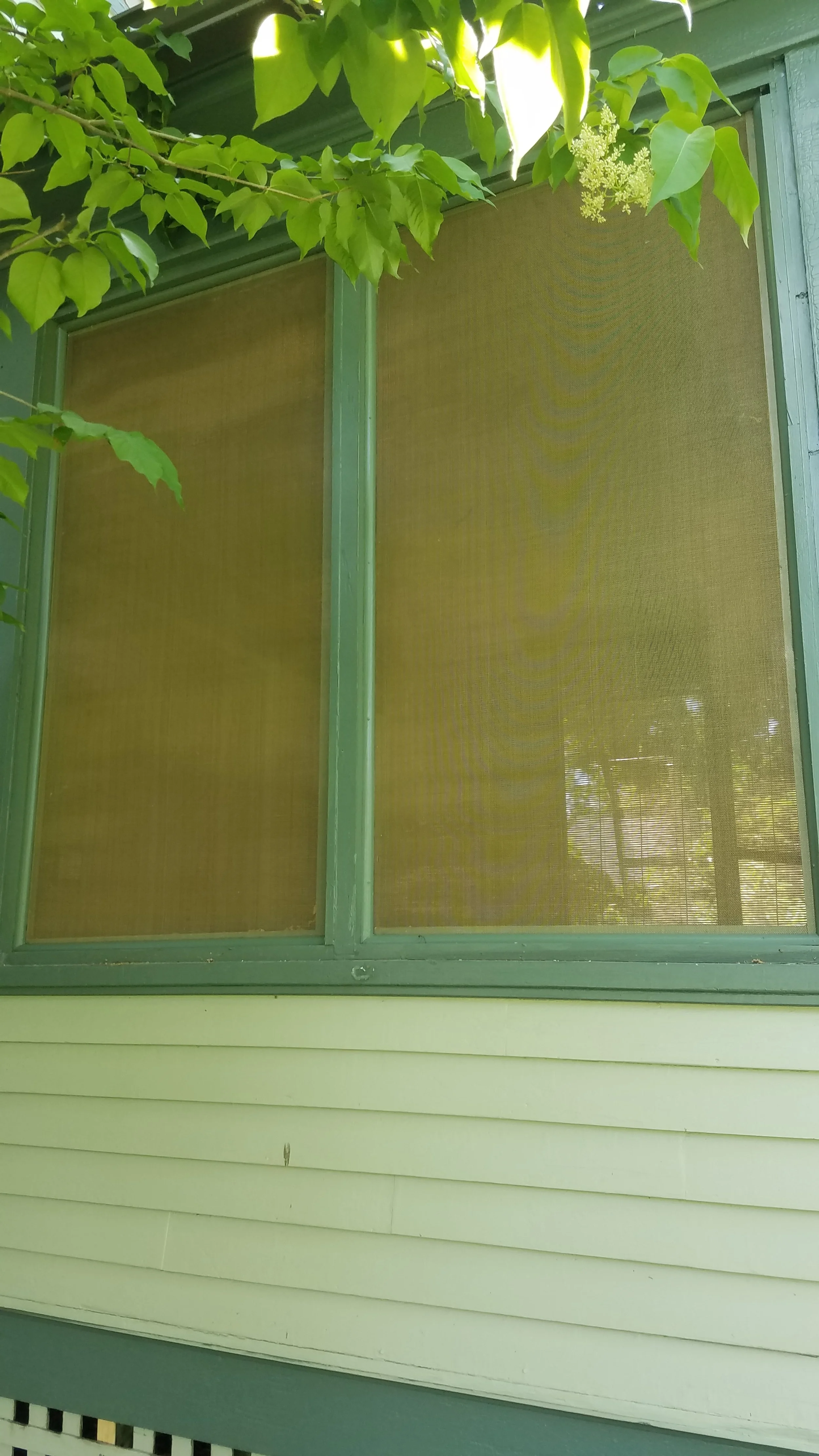 brigitteScreenPorch6.jpg