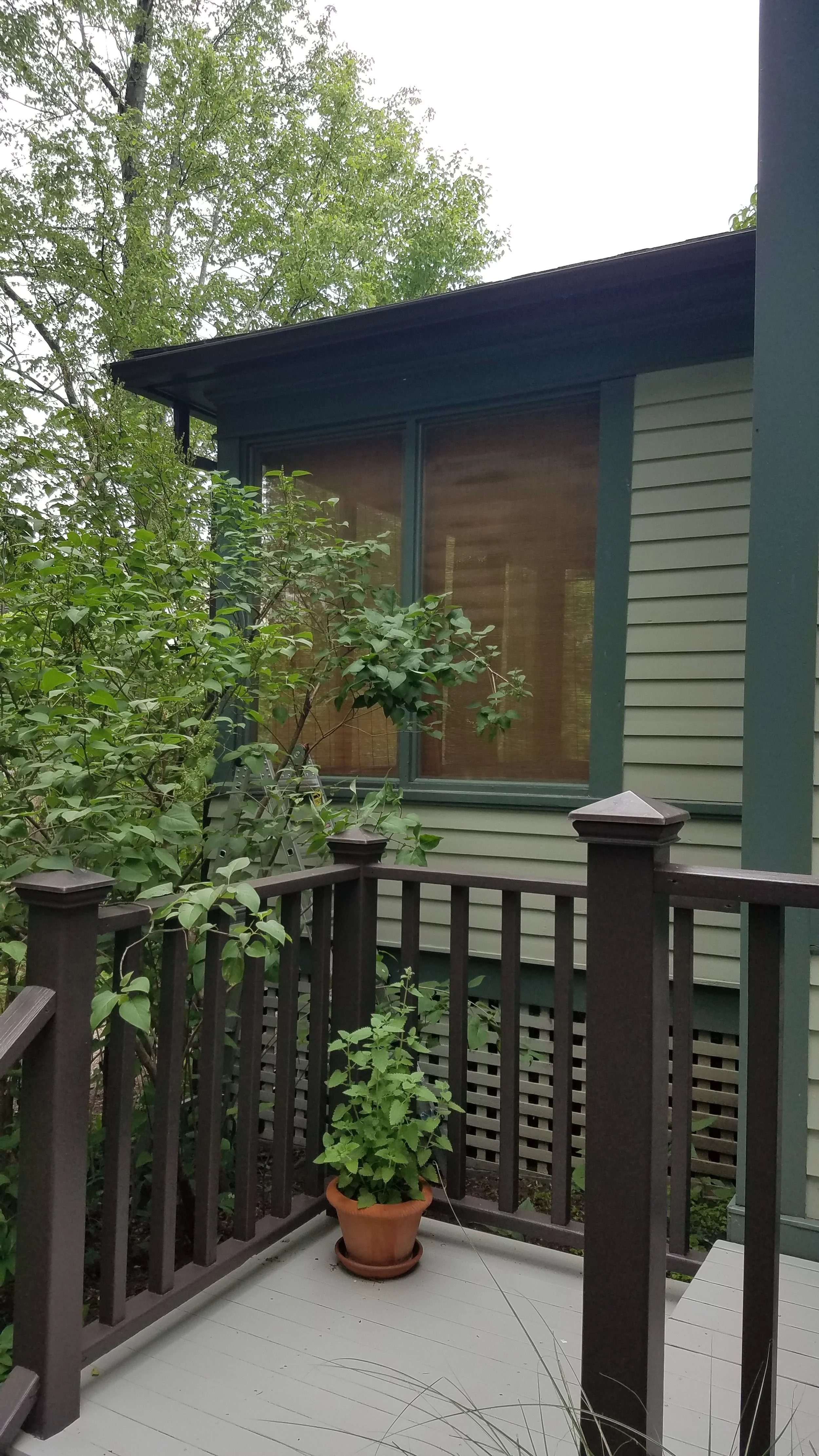 brigitteScreenPorch2.jpg