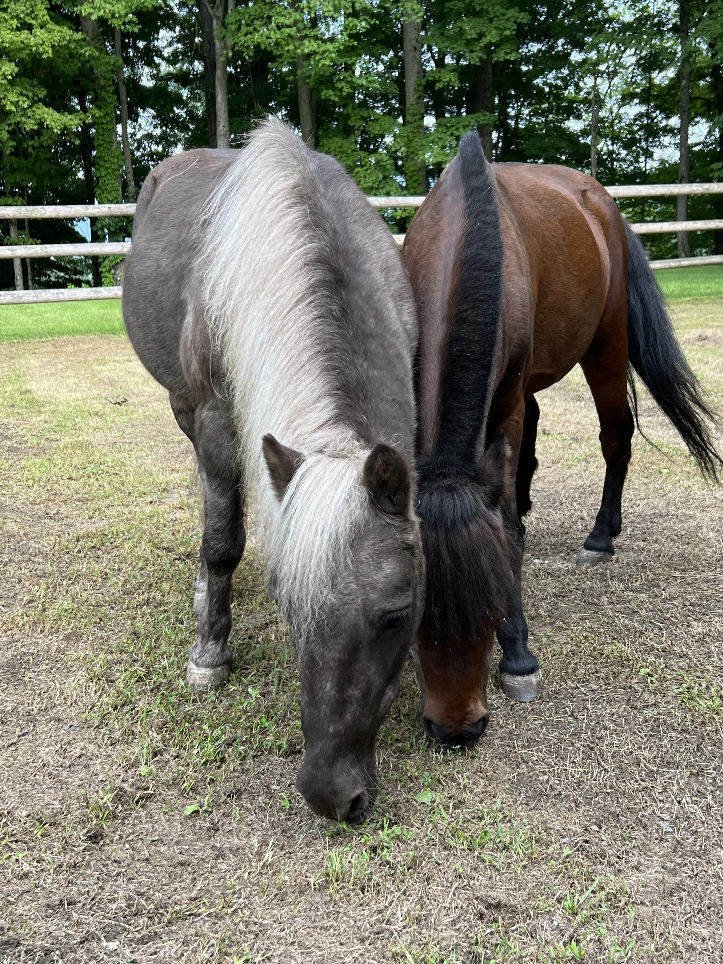 Wizard and Marvel.jpeg