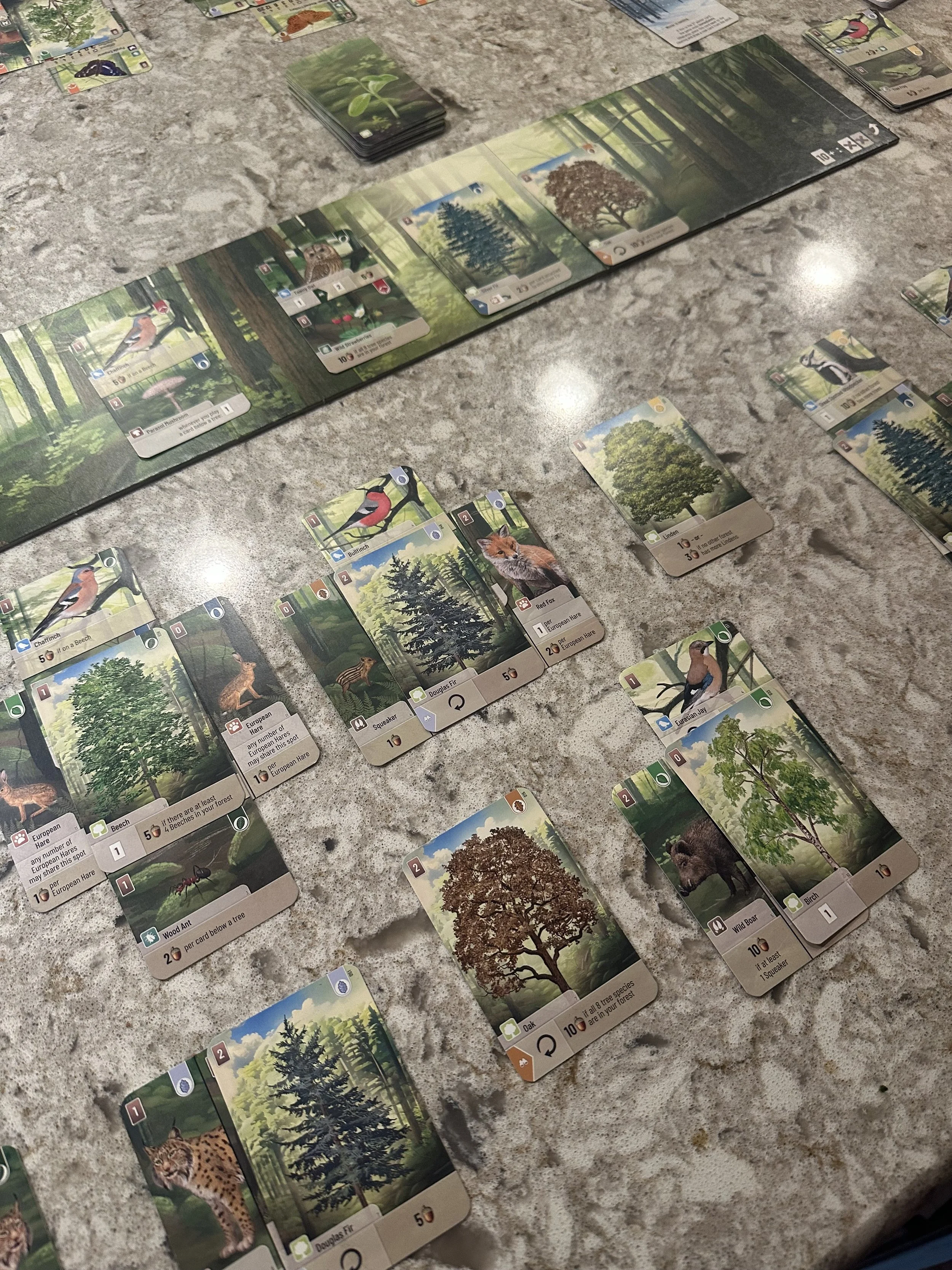 blog2photo5.jpg