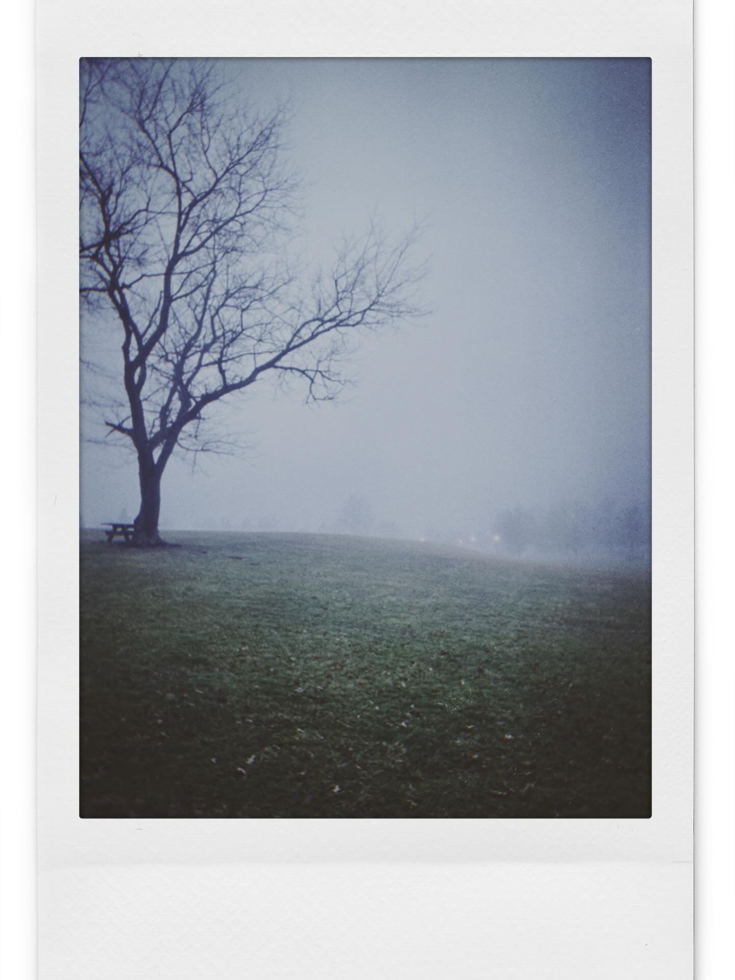 📸 just goofing off, probably delete later 

#fog #morningwalks #nebulophile