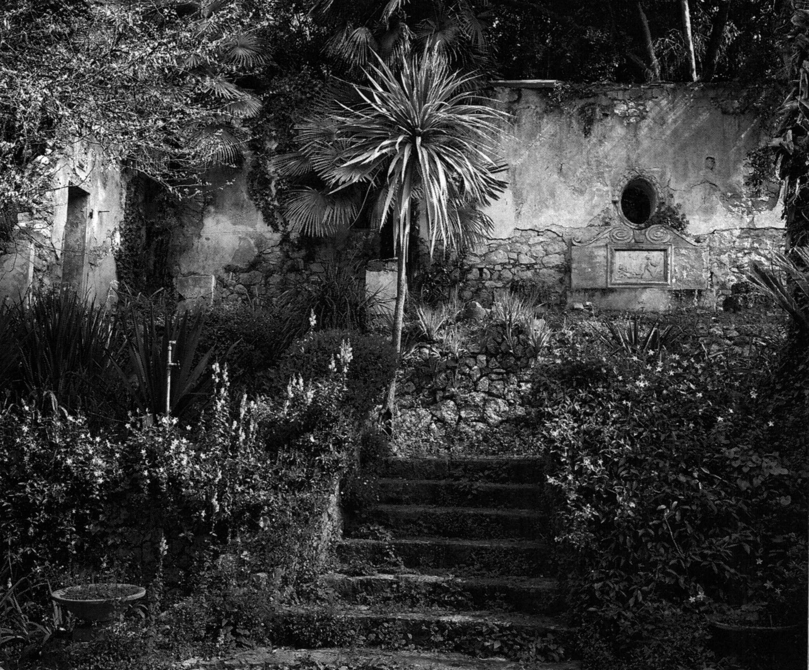 Franck Michel | Les jardins voyageurs
