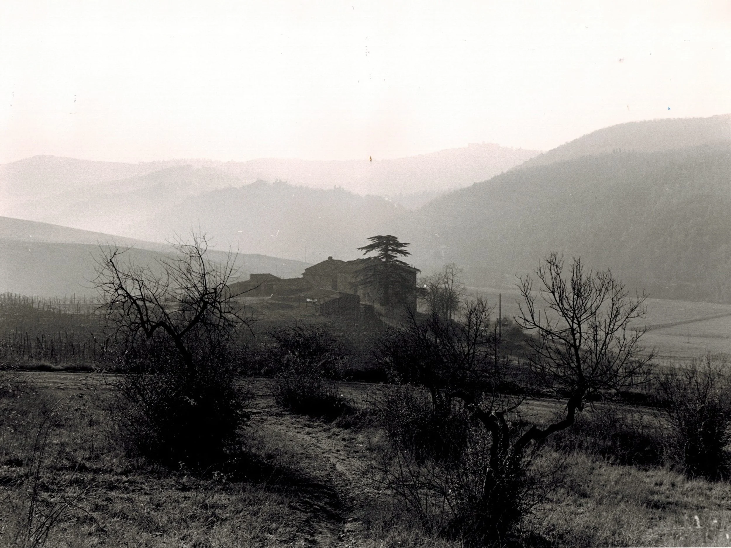 Collectif | Paysage / Paysages