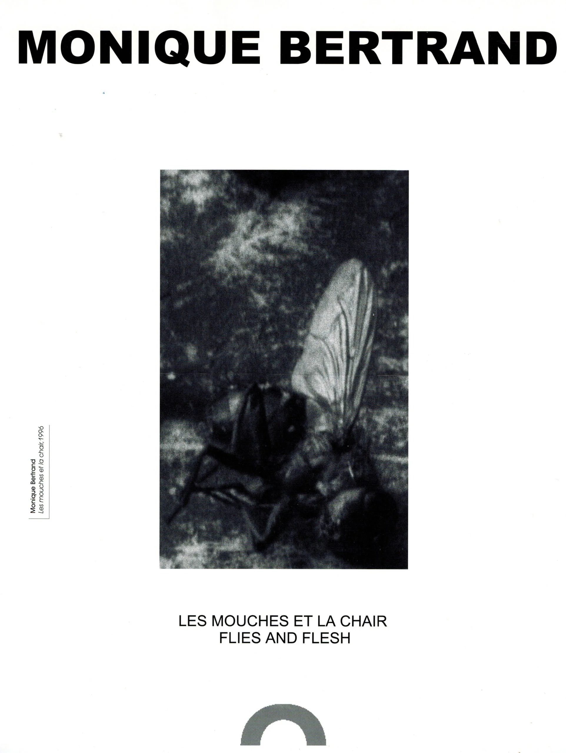 Monique Bertrand | Les mouches et la chair