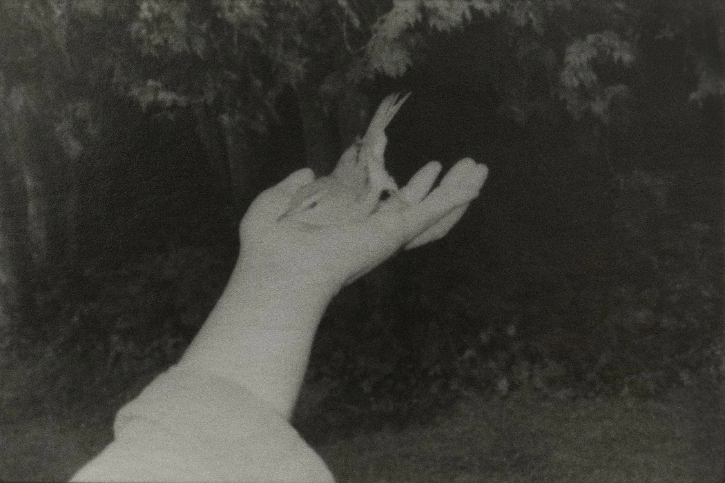 © Chieko SHIRAISHI. Sans titre (Le sentier à l’ombre de la ville), 2023