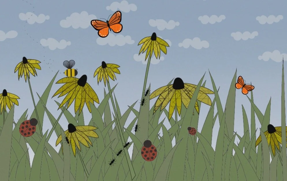 meadow_delavigne.jpg