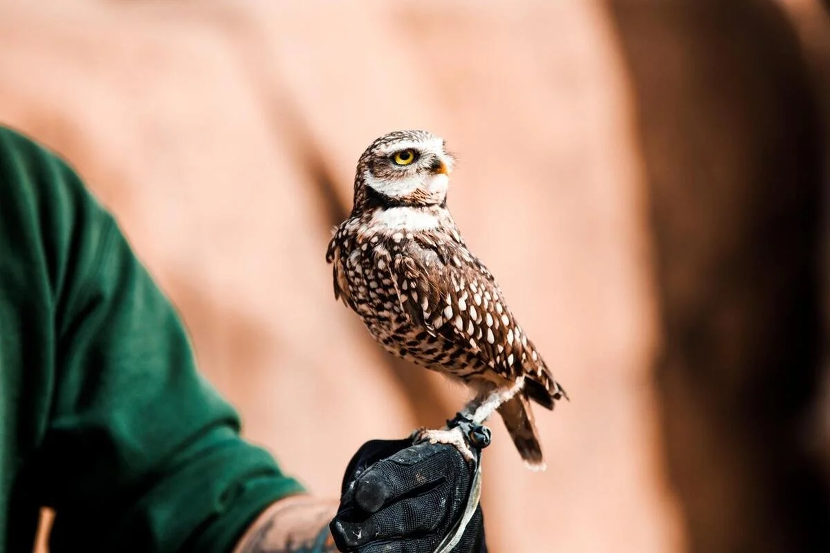 BC Wildlife Park