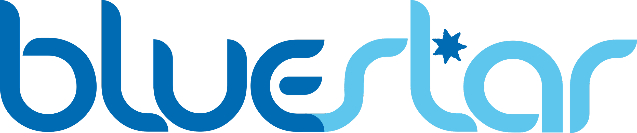 Blue star shuttle service logo