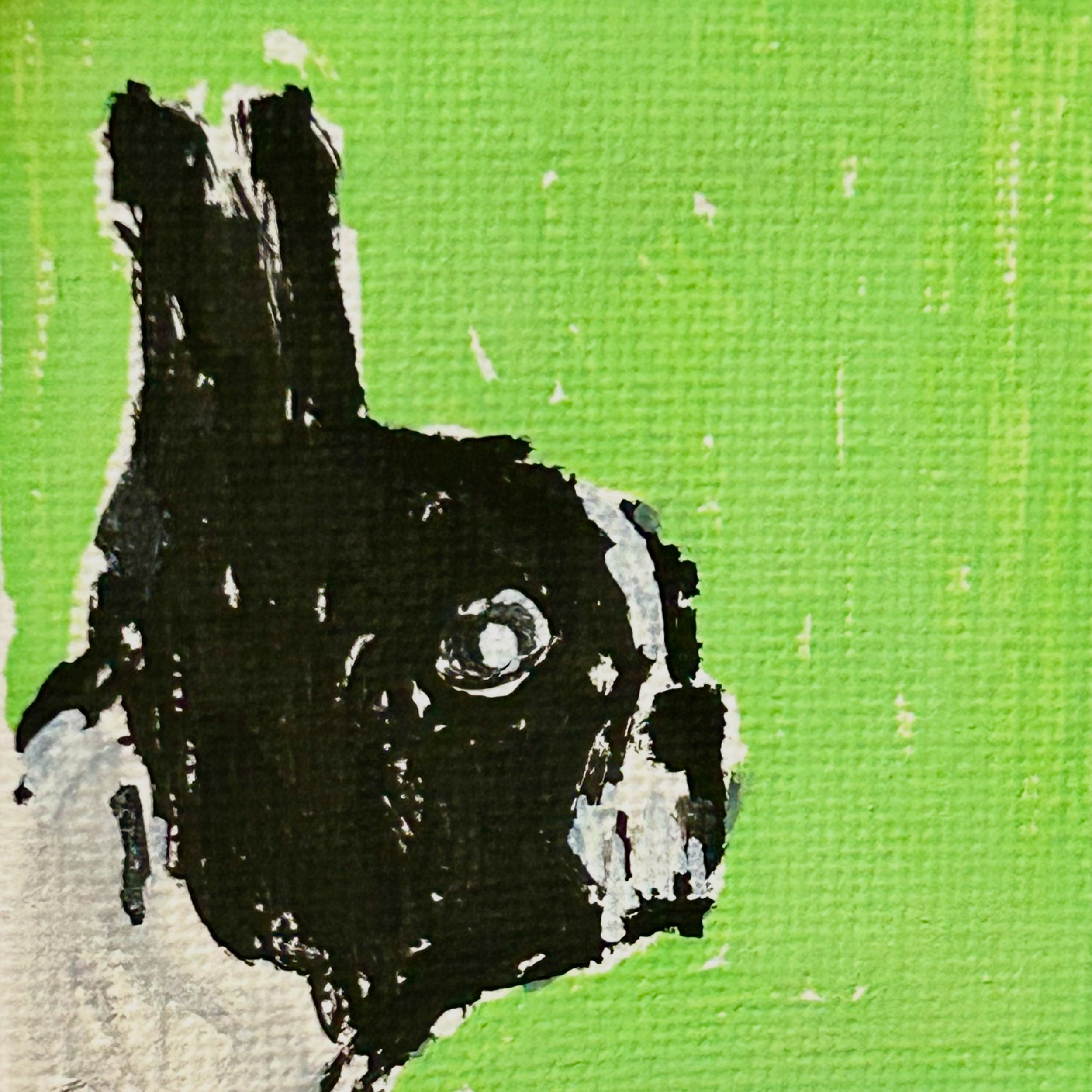 Close-up of a spray-painted image of a black dog with a white patch on its chest against a green textured background.