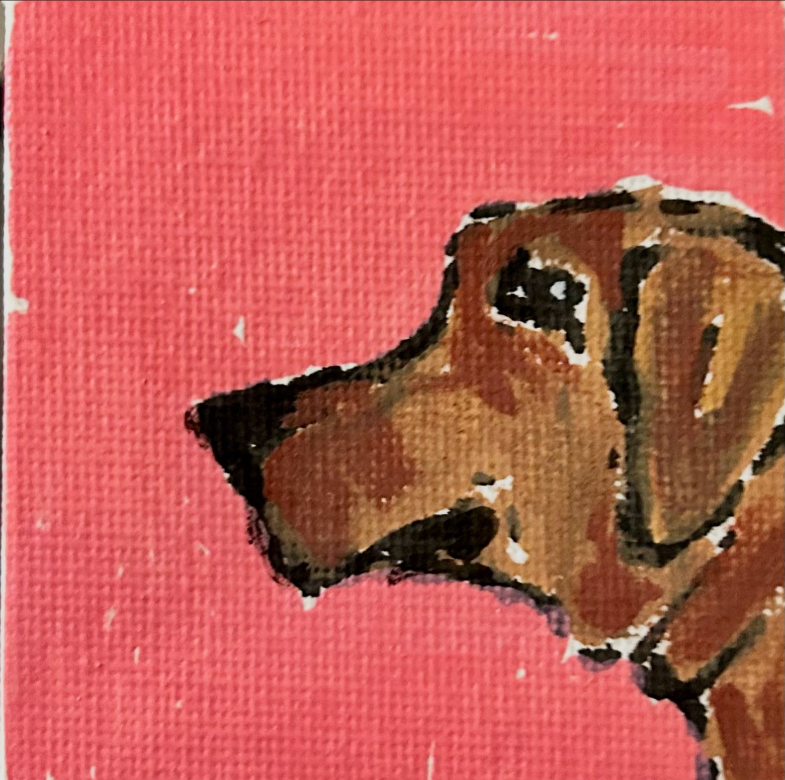 Close-up of a torn scratch-off lottery ticket featuring a dog's face on a red background.