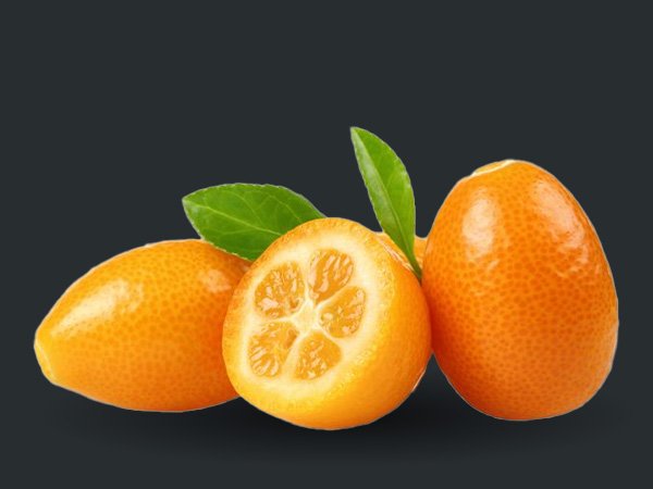 Indio-Kumquats.jpg