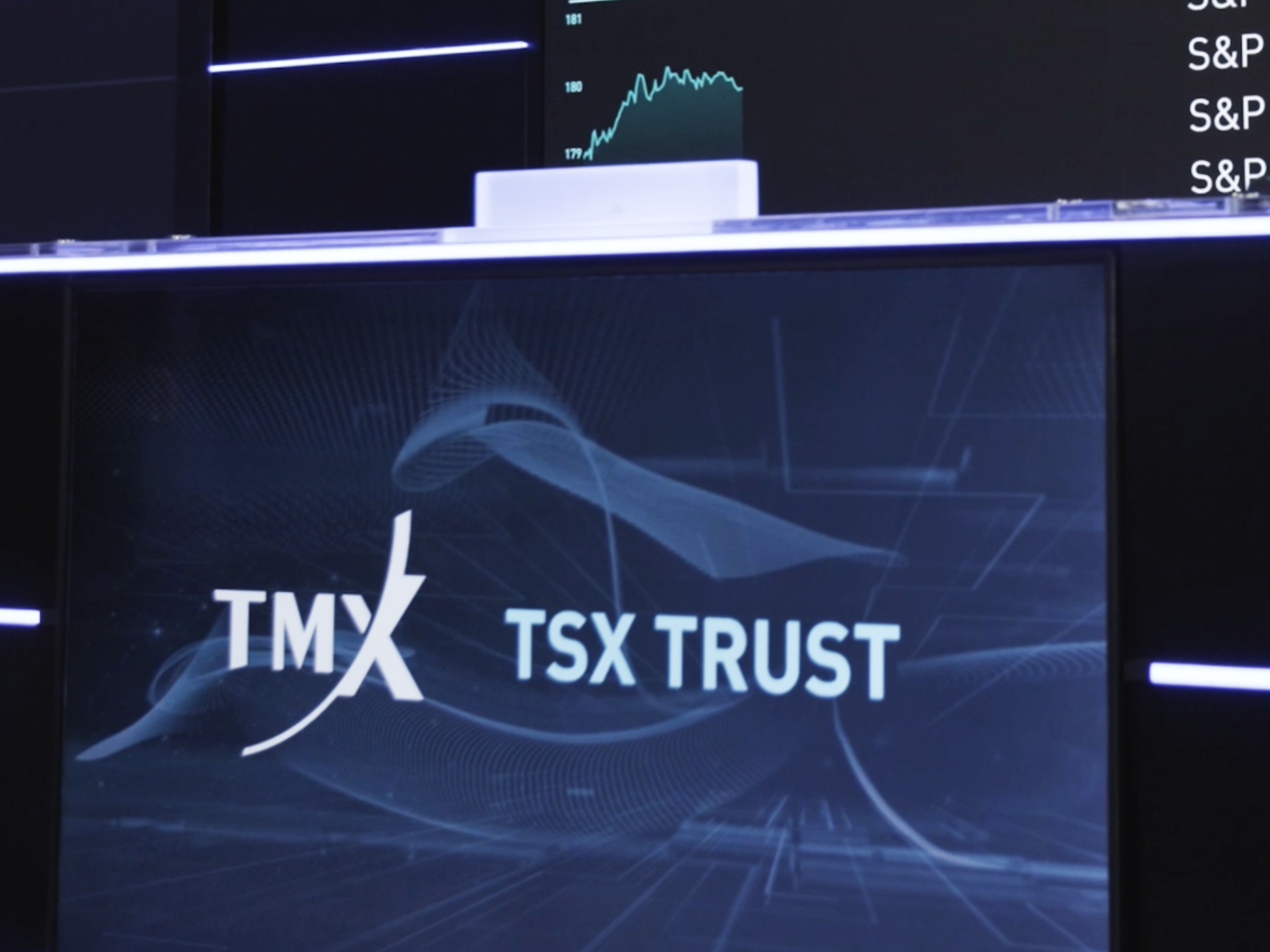 The Toronto Stock Exchange