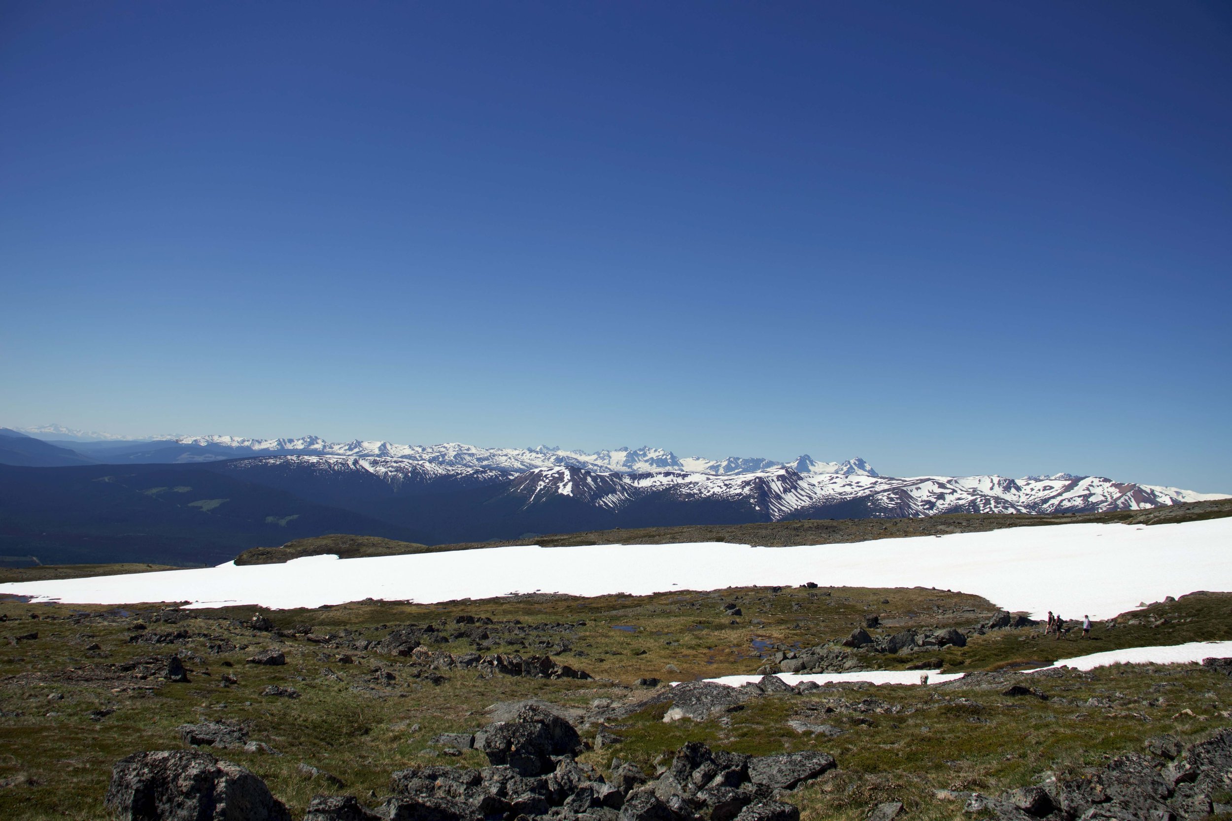 Snow-dusted mountain range and alpine meadow under a clear blue sky in Northern British Columbia