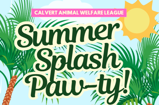 Summer Splash & Pawty
