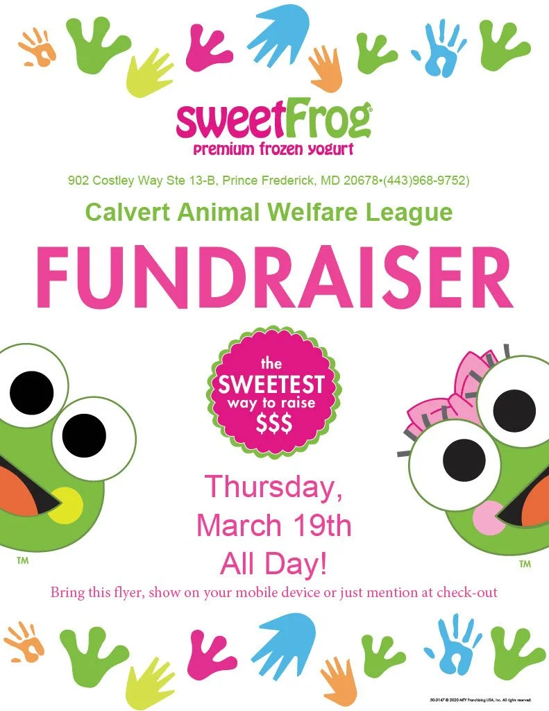 sweetFrog Fundraiser