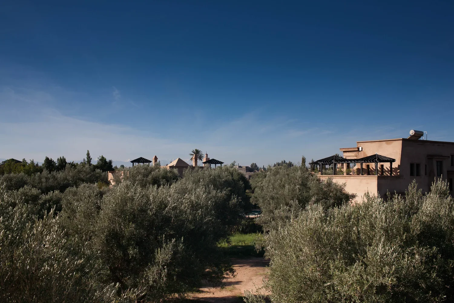 Yoga Marrakech Retreat.webp