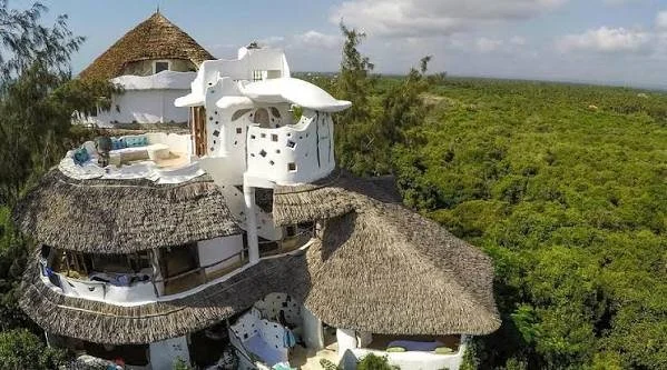 tree house 2 .jpg