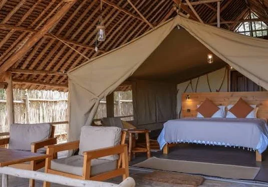 sateo camp .jpg