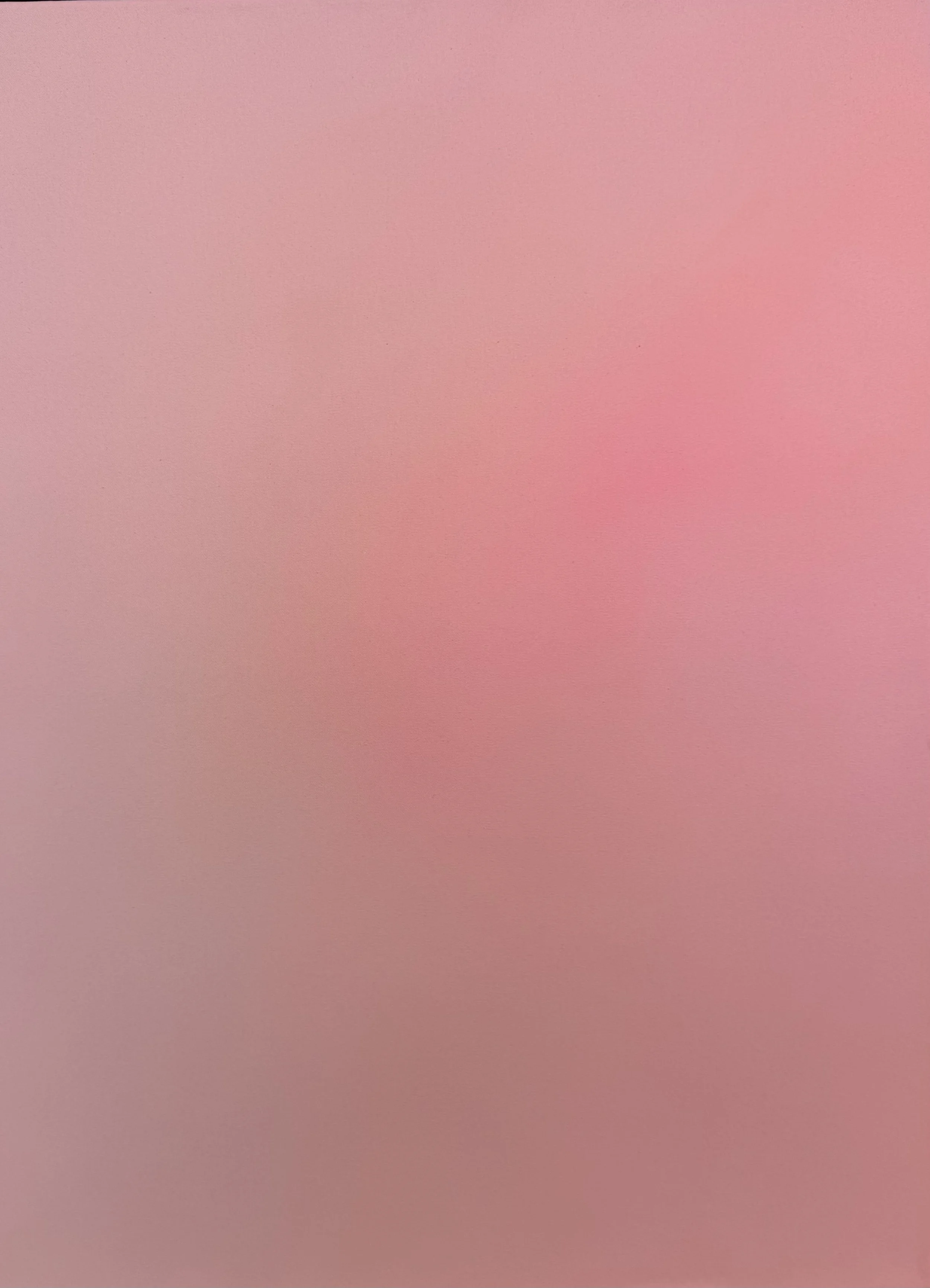 IMG_6988.jpeg