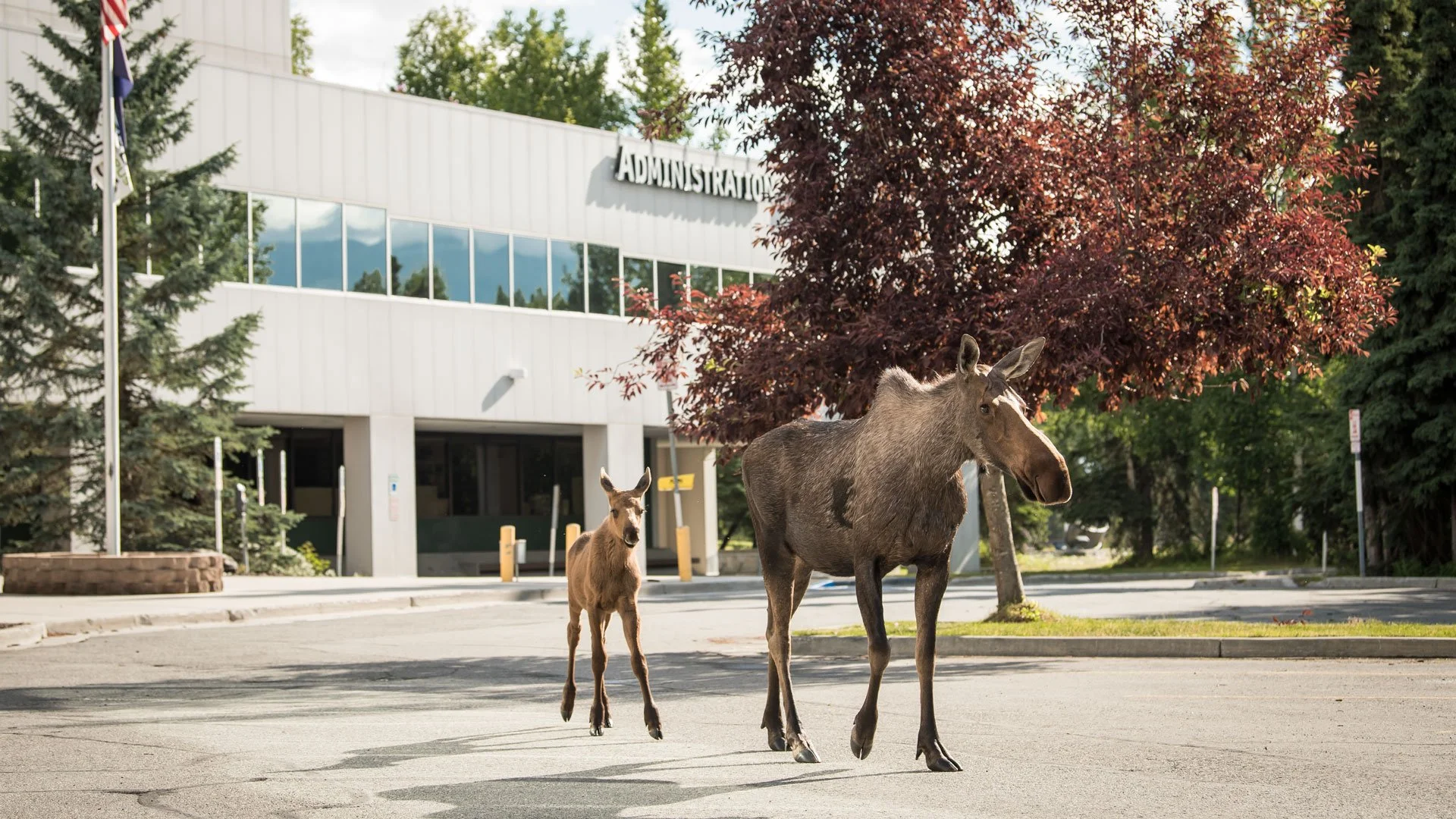 Pacific Northwest Section of the Mathematical Association of America