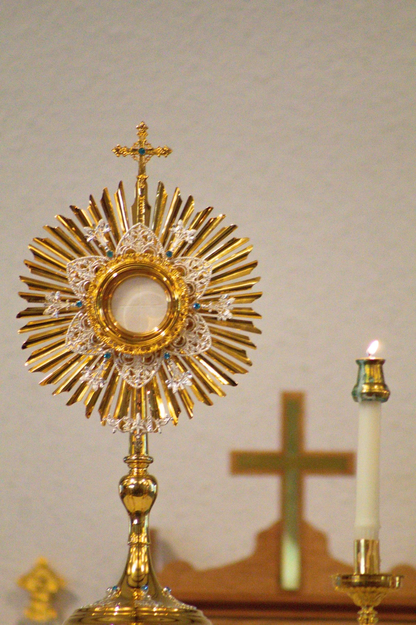 Today we celebrate the Solemnity of the Most Holy Body and Blood of Christ. We reverence and honor Jesus in the Eucharist with great faith and confidence that Christ is with us in all of our sorrows and joys of life. 

O Jesus in the Eucharist, Princ