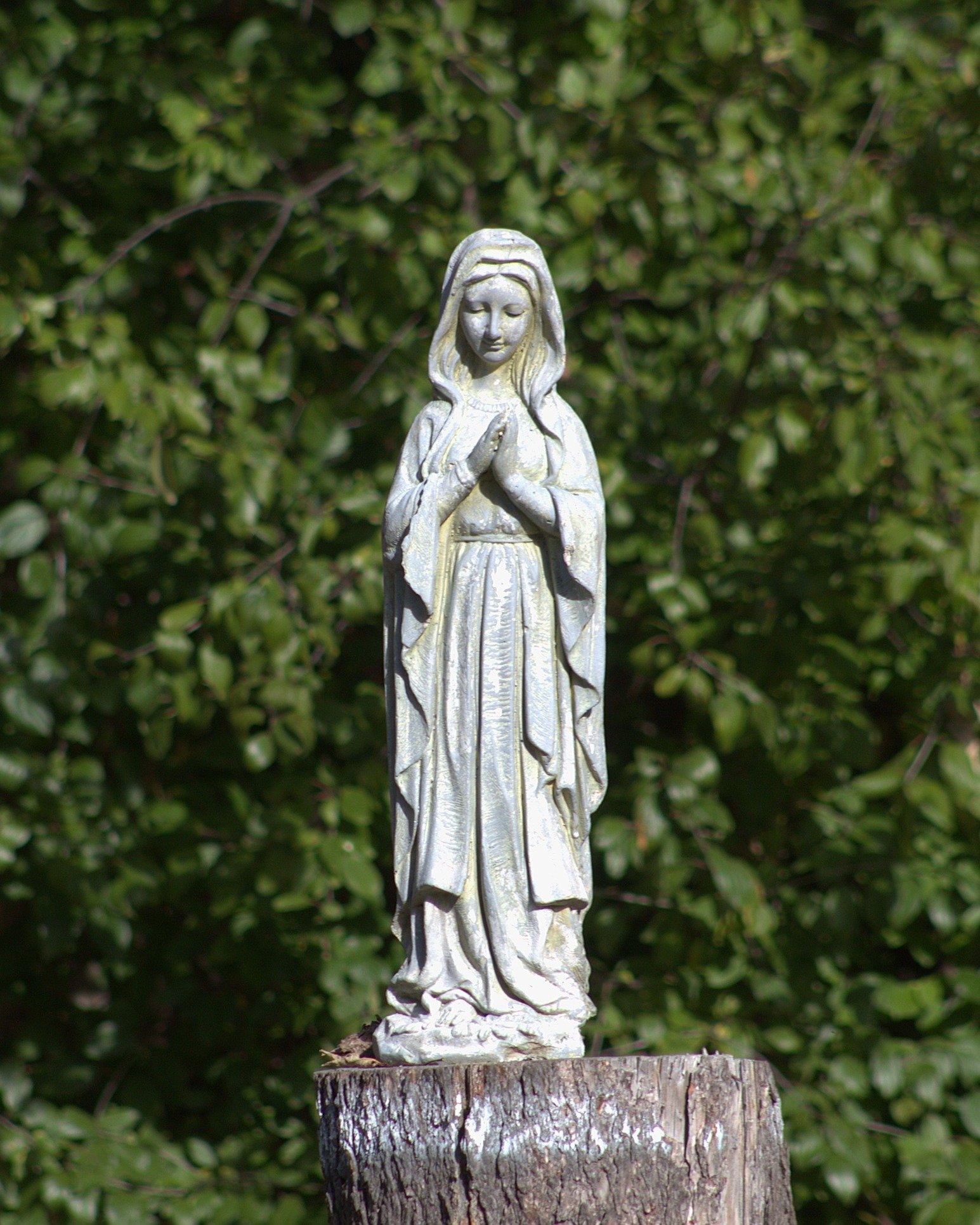 This Saturday we celebrate the Solemnity of the Assumption of the Blessed Virgin Mary and, although it is not a holy day of obligation this year, we would love for you to join us for Mass 

 August 15th at 8:30AM

We can't wait to pray and celebrate 