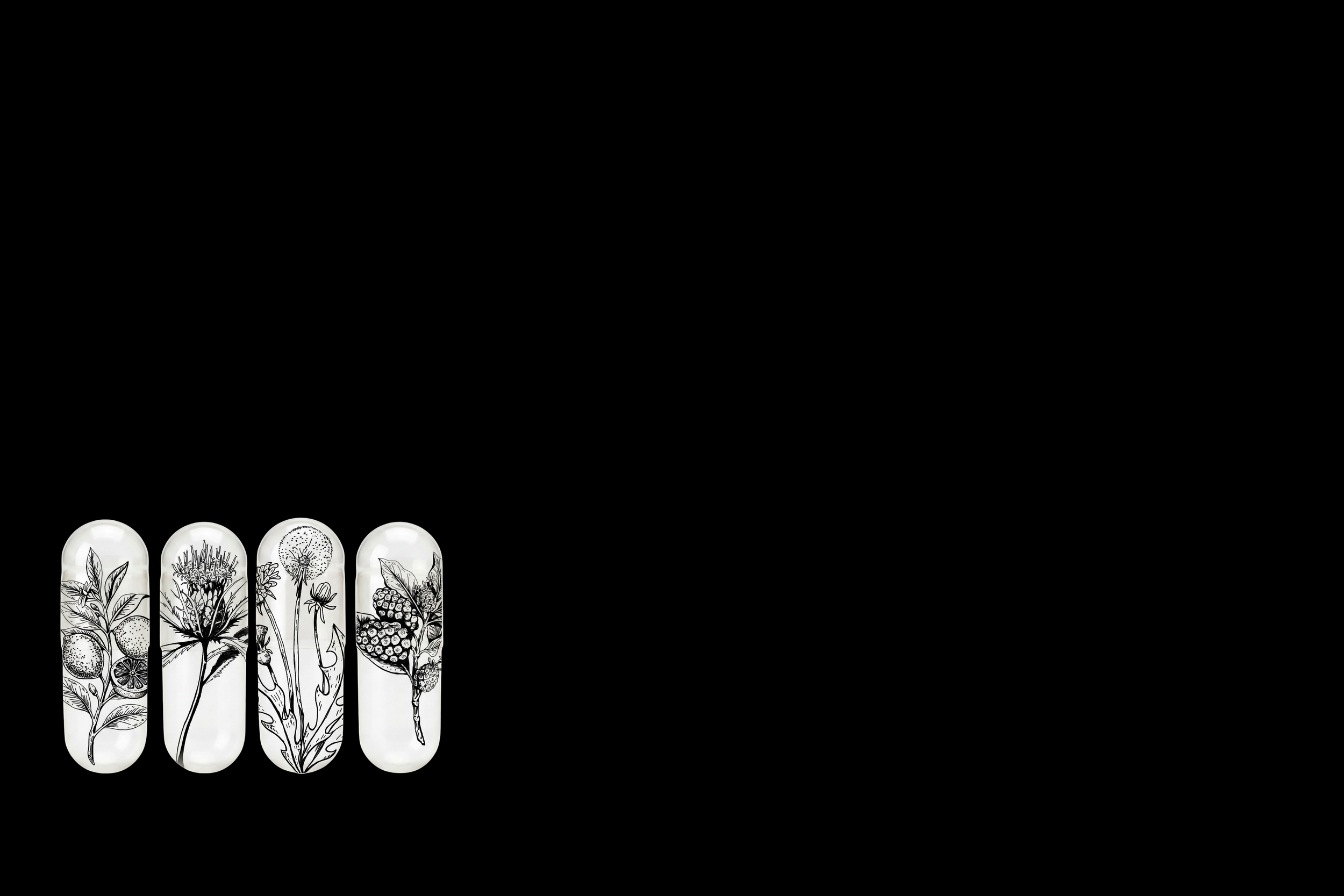 Illustration & Visual Storytelling