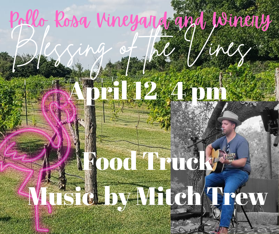 Pollo Rosa Vineyard and Winery (8).png