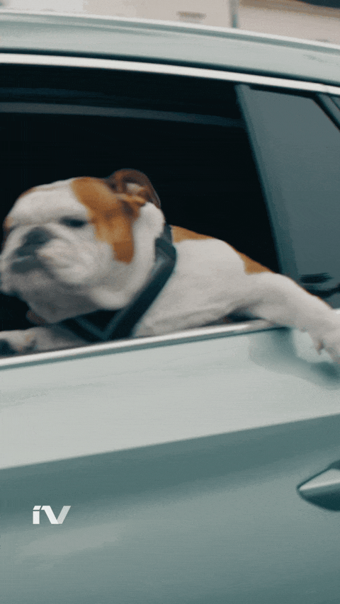 ENYAQ_2021_SoMe_BEST_FRIENDS_DOG_9x16_ENG_0.09_Gif.gif
