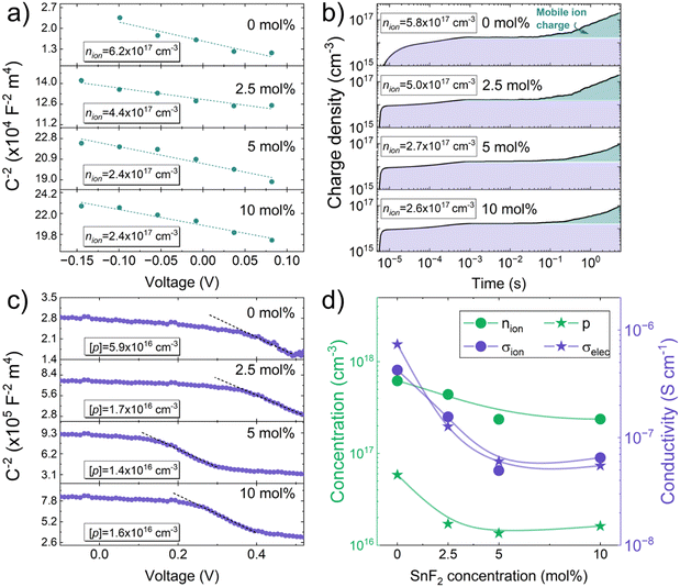 Deciphering the interplay between tin vacancies and free carriers in the ion transport of tin-based perovskites