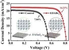 Dual-site passivation of tin-related defects enabling efficient lead-free tin perovskite solar cells