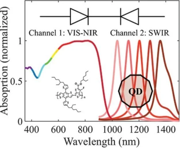 Photodetectors Based on Lead Sulfide Quantum Dot and Organic Absorbers ...