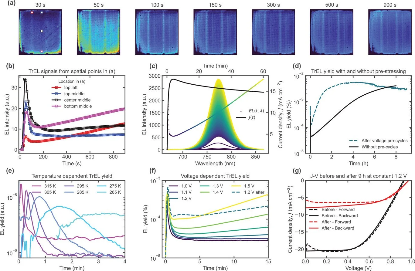 Ion Migration in Mesoscopic Perovskite Solar Cells: Effects on ...