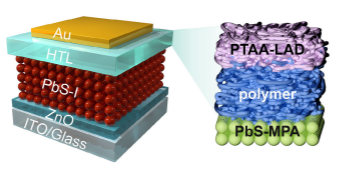 Research Paper: Double-side Interfacial Engineering of Hole Transport Layer Enables Efficient and Operationally Stable Colloidal Quantum Dot Solar Cells