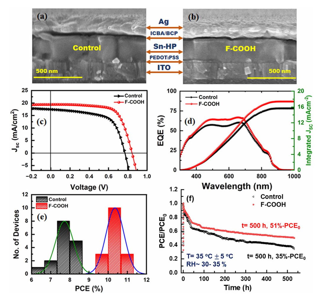 Research Paper: Defect mitigation via fullerene-based functional additives for enhanced efficiency and stability in tin perovskite solar cells