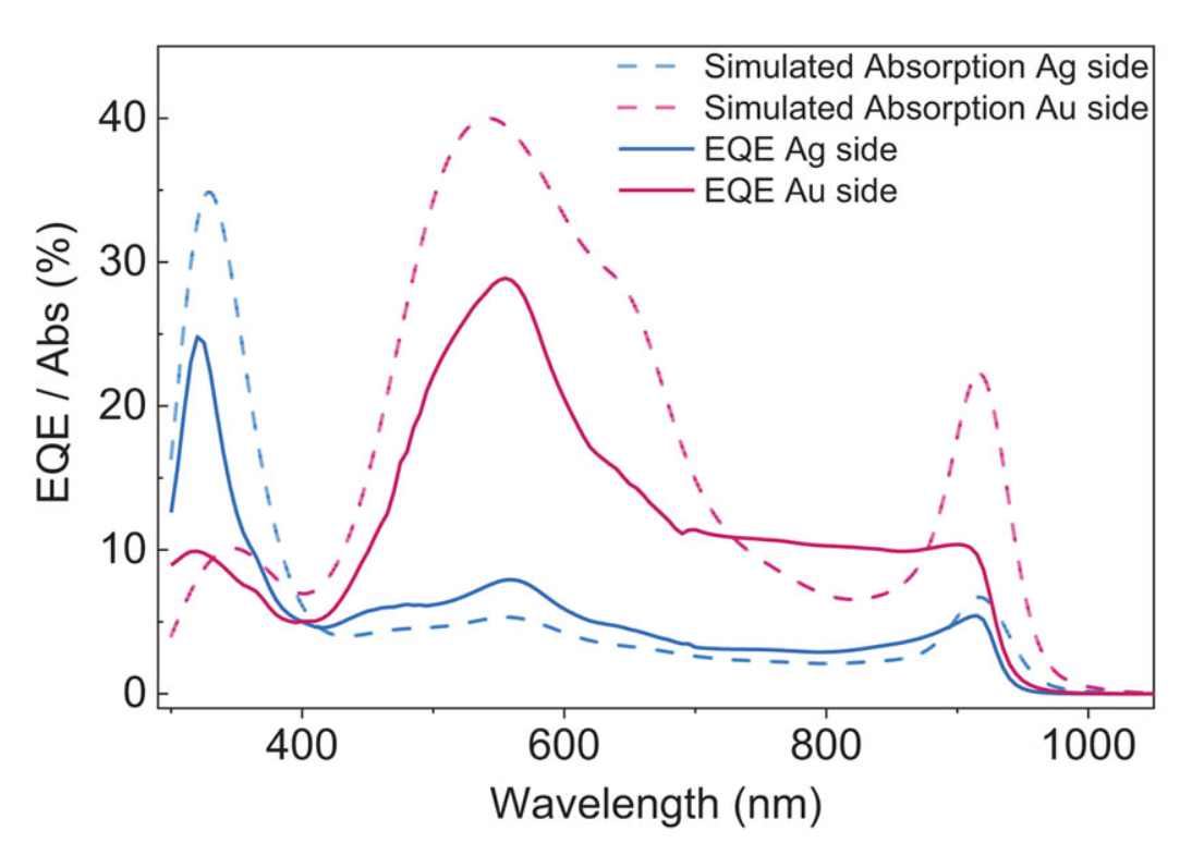 Research Paper: Multiple Narrowband Bidirectional Self-Powered Organic Photodetector with Fast Response