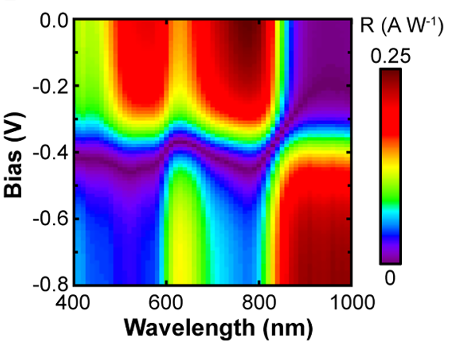 Research Paper: Single-pixel spectrometer based on a bias-tunable tandem organic photodetector