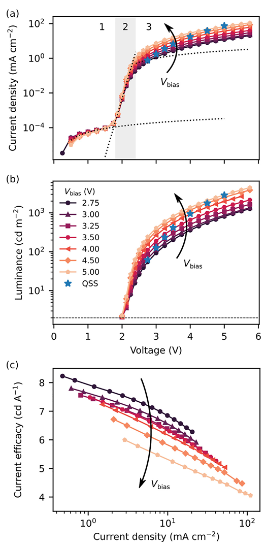 Research Paper: Pinpointing the Dynamic p-i-n in a polymer-based light-emitting electrochemical cell (LEC)