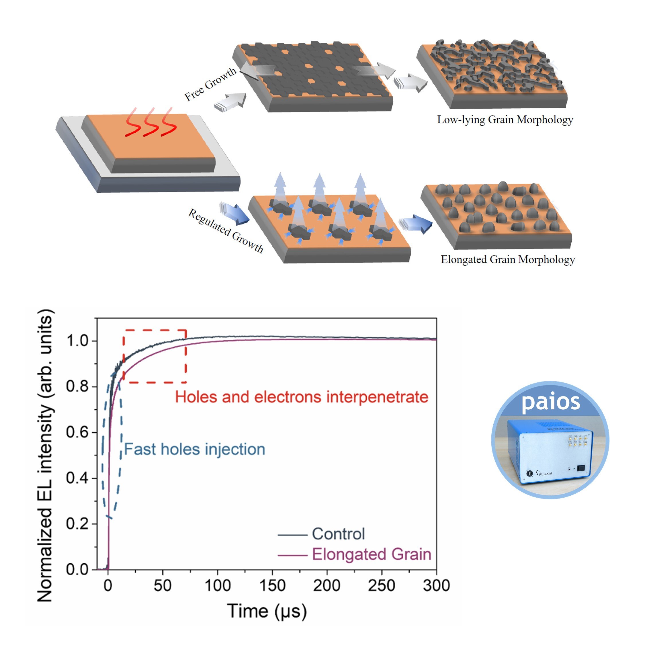 Research Paper — Elongated Grain Morphology Enables Efficient NIR-II Sn Perovskite LED